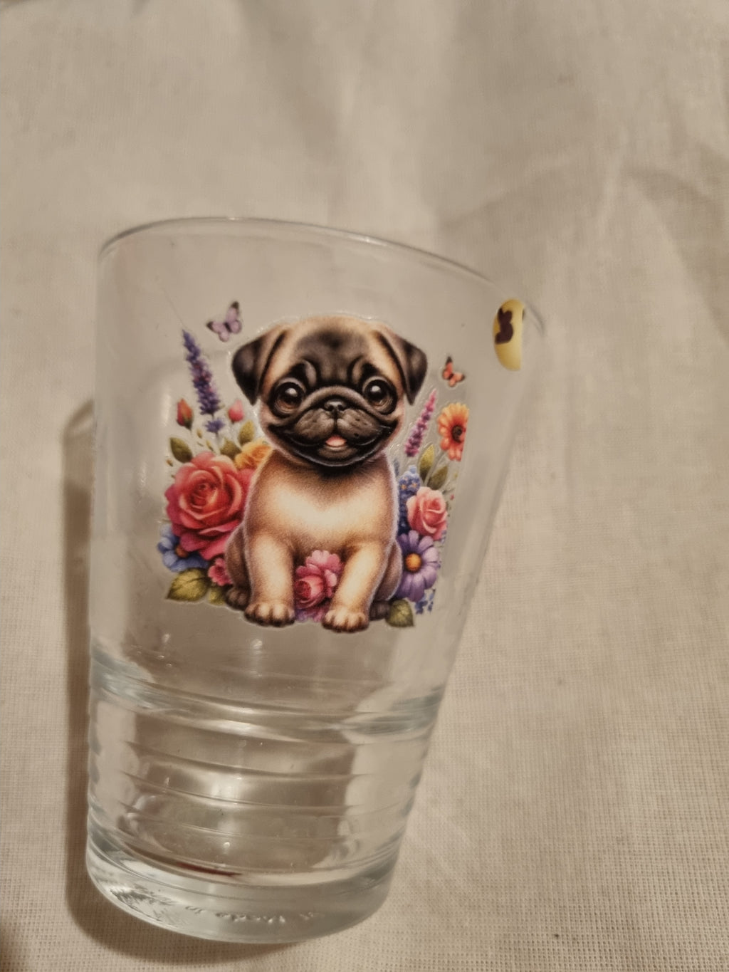 Glass cute puppy