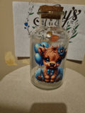 Medium sized  Storage Jar
