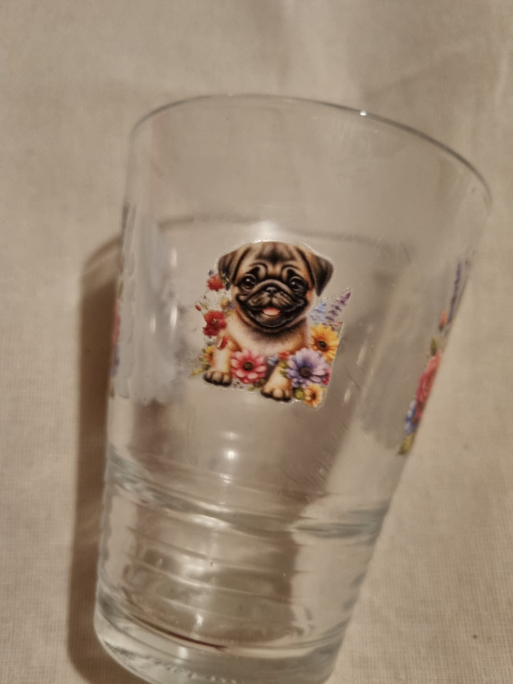 Glass cute puppy