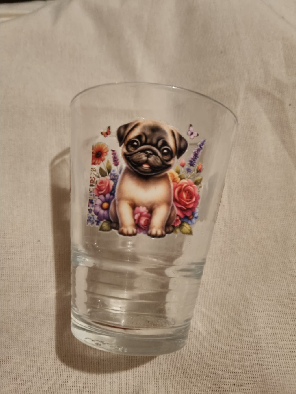 Glass cute puppy